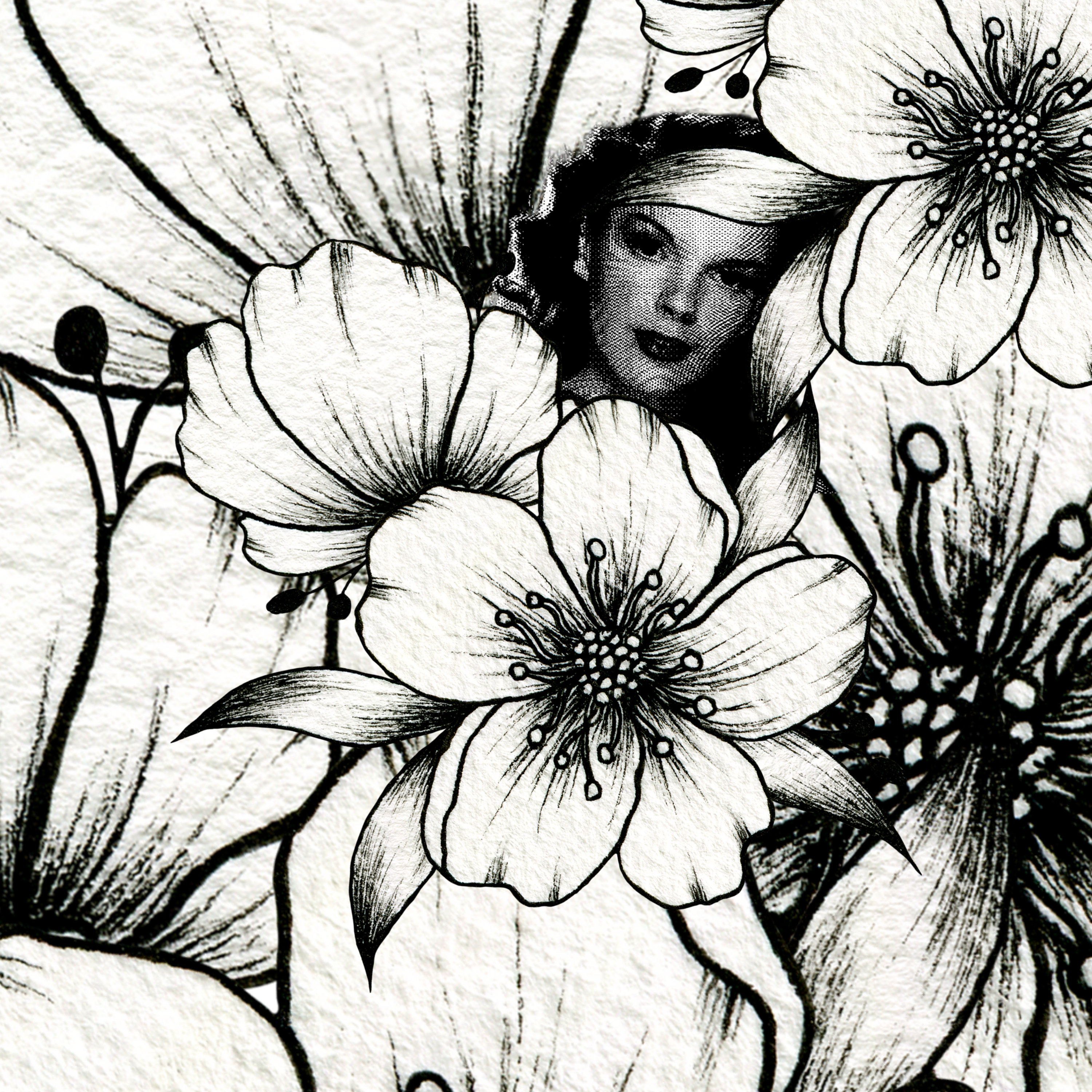 Judy Garland: A Timeless Journey through Music and Film by Hatto